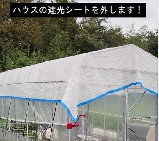 field-20260904_解像度UP-1