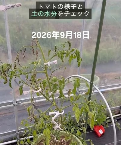 field-20260921_解像度UP-1