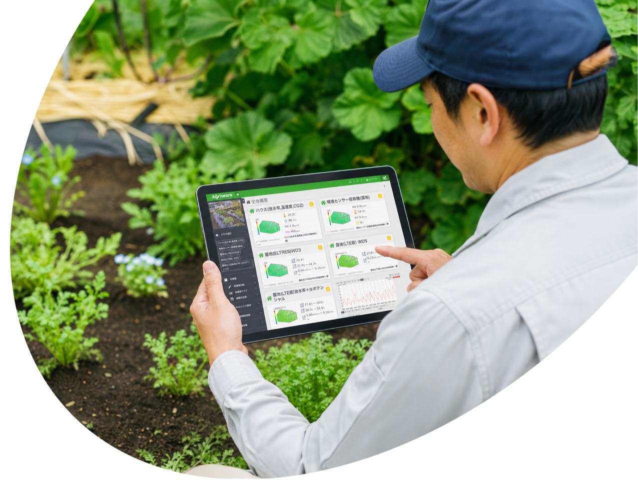 畑でタブレットの環境モニタリング画面を確認している生産者の写真