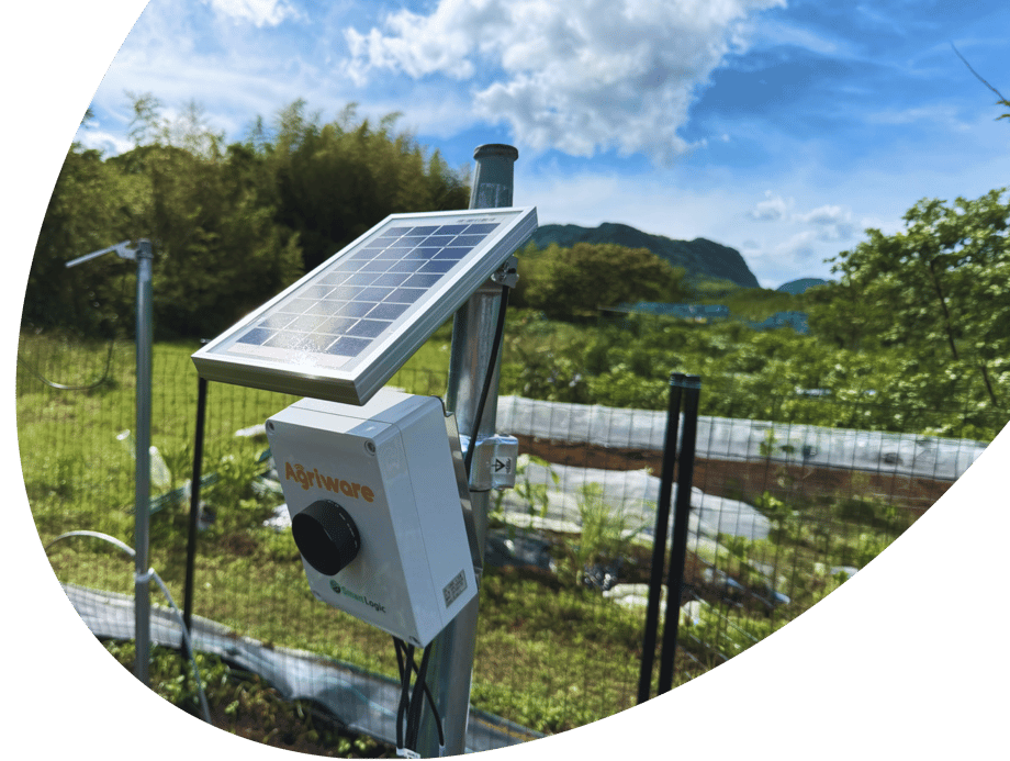 圃場に設置したソーラー式モニタリング装置