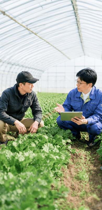 ビニールハウスで作物を確認しながら話す担当者と生産者